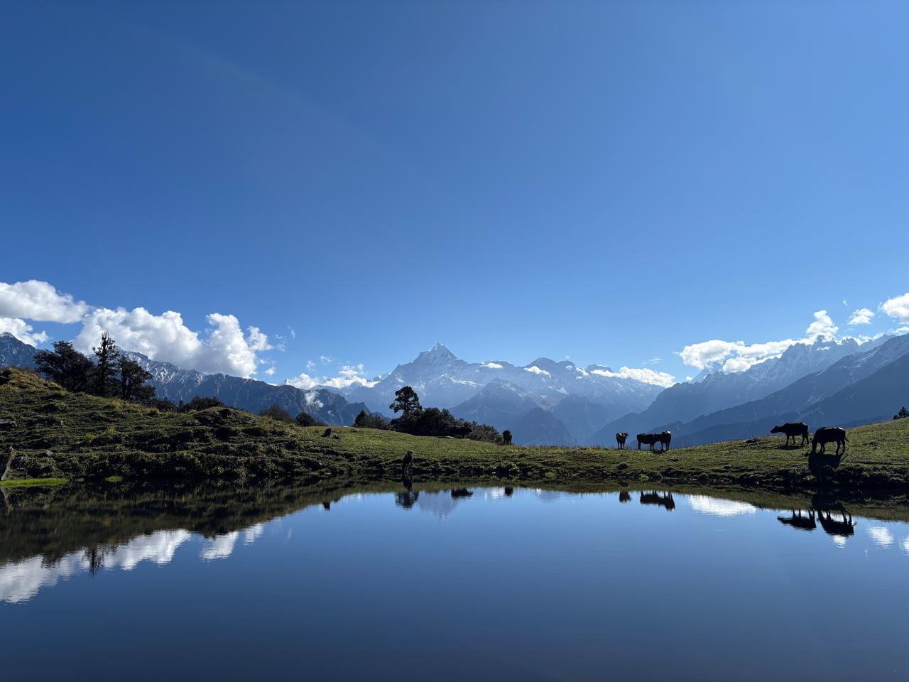 Tali lake reflection with snow peaks