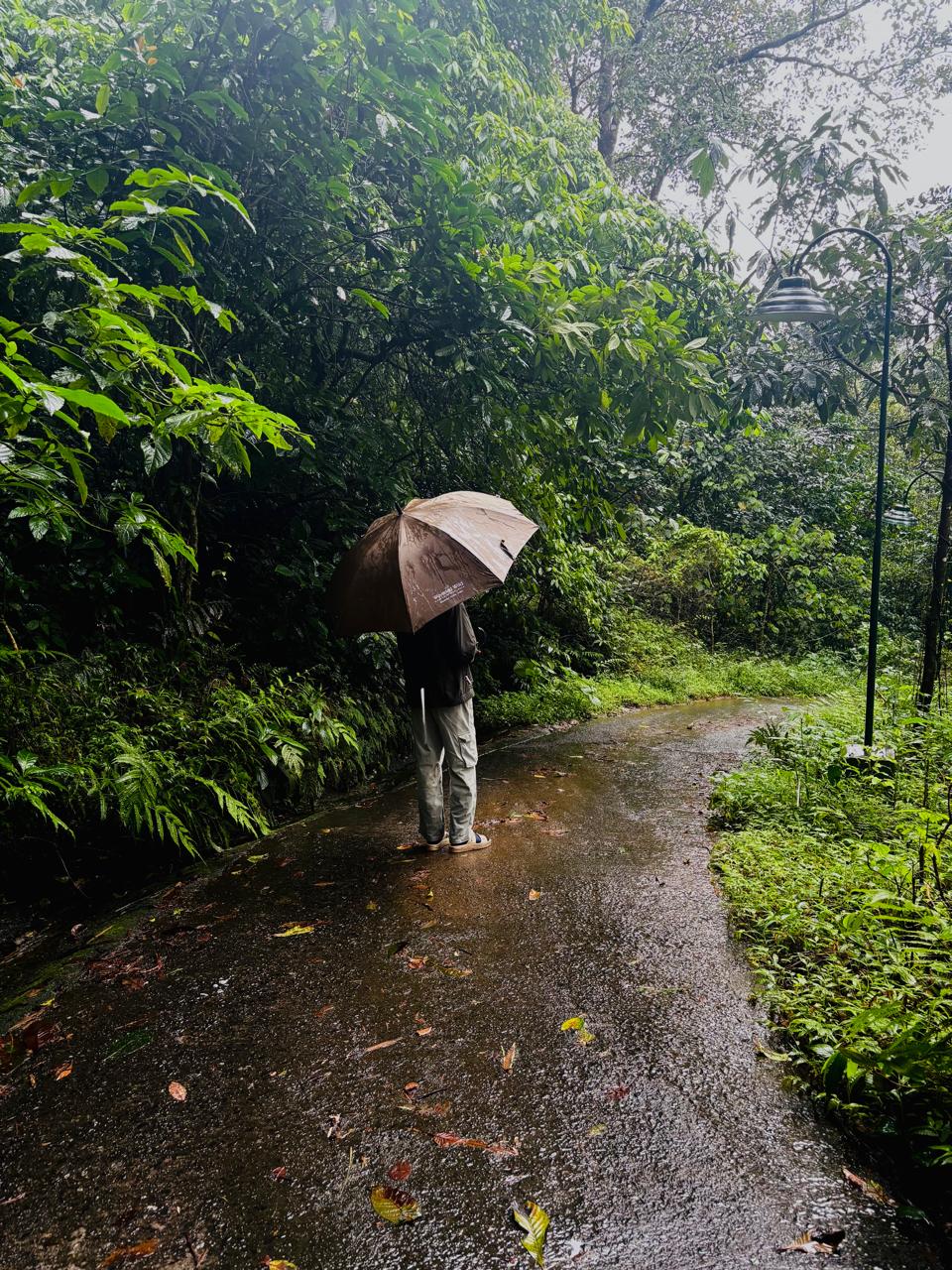 Freya spotting a bird